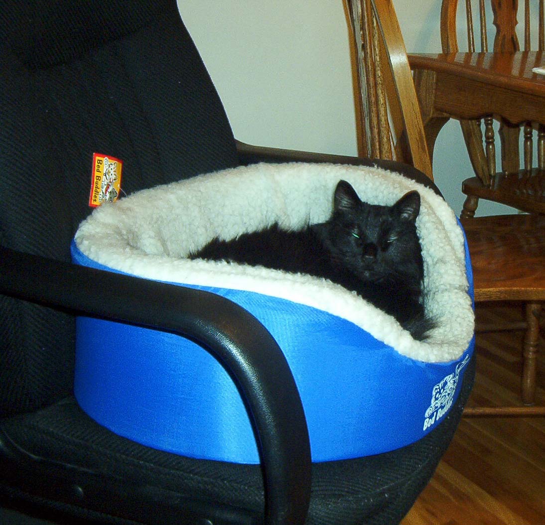 I'm not fat - just fluffy